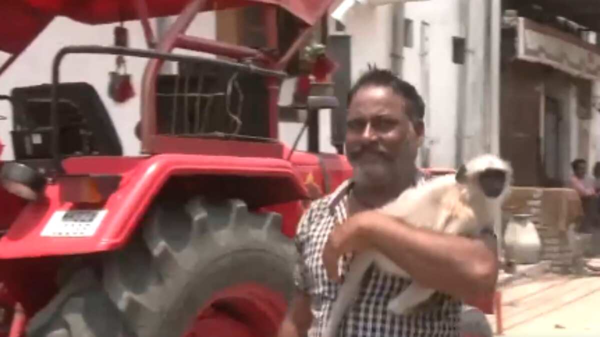 Lok Sabha elections 2024: In Maharashtra, man arrives at polling booth with his monkey. Watch Lok Sabha elections 2024: In Maharashtra, man arrives at polling booth with his monkey. Watch