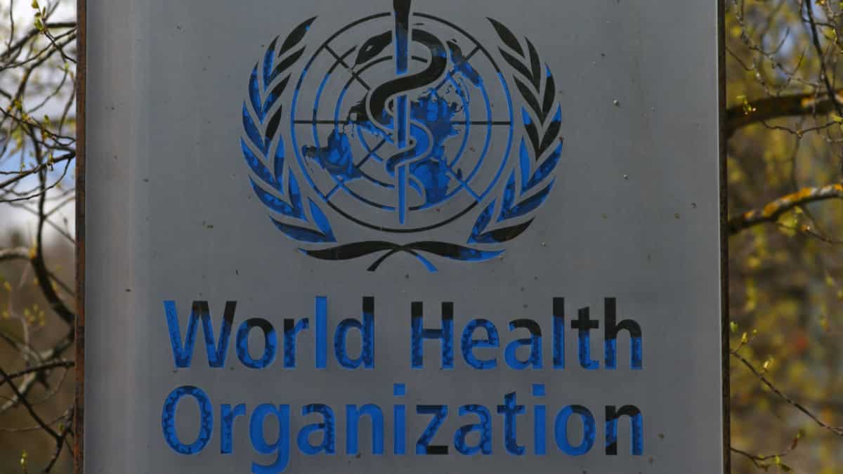 Bird flu risk is currently low: WHO urges countries to remain on alert Bird flu risk is currently low: WHO urges countries to remain on alert