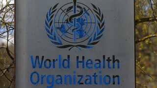 Bird flu risk is currently low: WHO urges countries to remain on alert