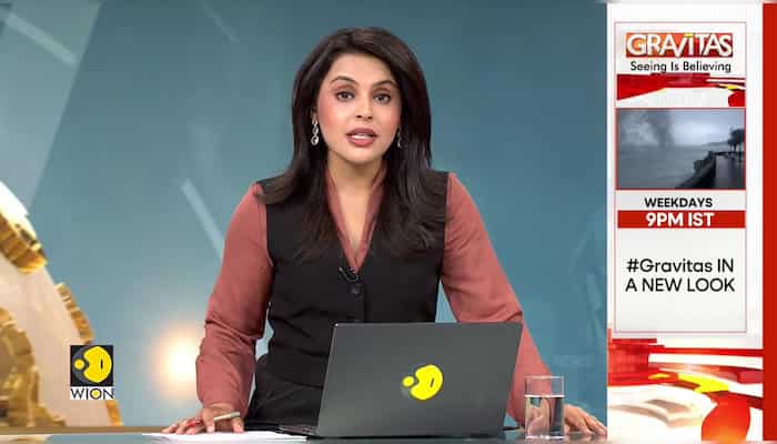 US: Donald Trump calls RFK Jr a ‘Democrat plant,’ says voting for him is a ‘wasted protest vote’