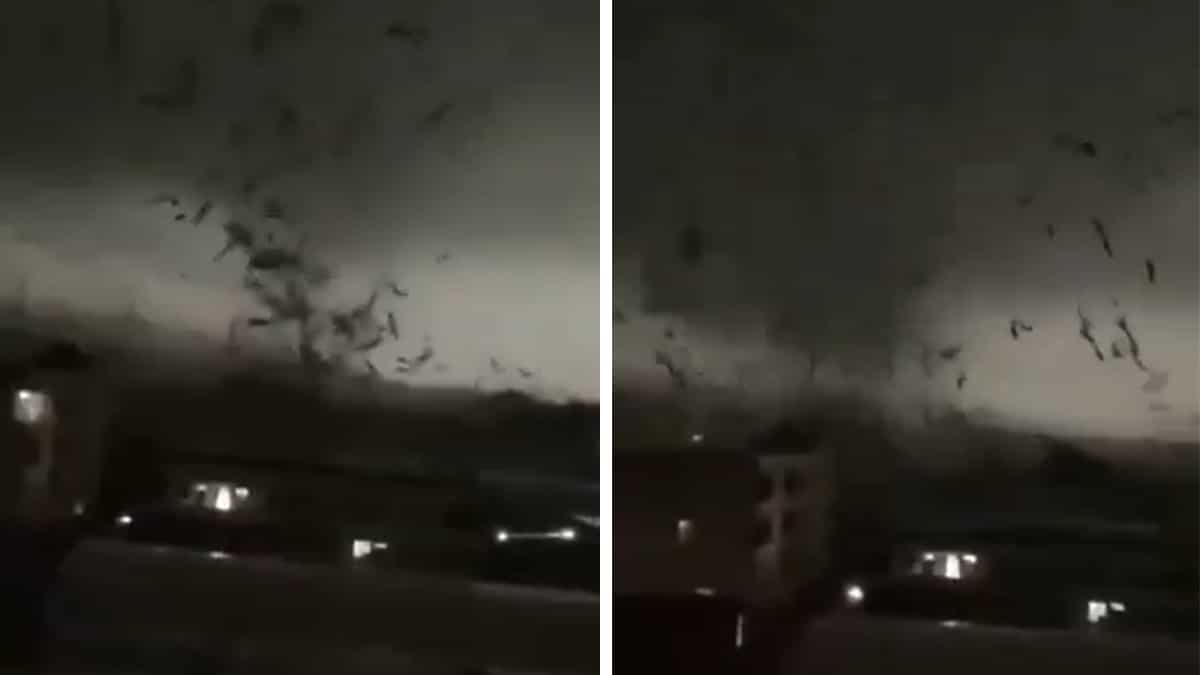 China: At least five killed, over 30 injured after tornado strikes Guangzhou China: At least five killed, over 30 injured after tornado strikes Guangzhou