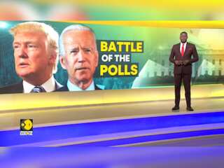 US Elections 2024 | Trump vs Biden: What do the polls say?