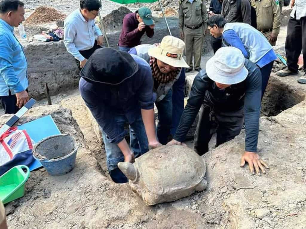 'Rare' turtle statue unearthed from a dried-up pond at 800-year-old Cambodian temple