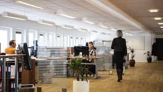 The year of compliance: Mandatory disclosures ignite a sustainability reporting revolution