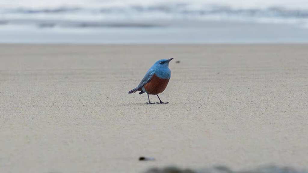 Photographer accidentally snaps rare bird in Oregon 