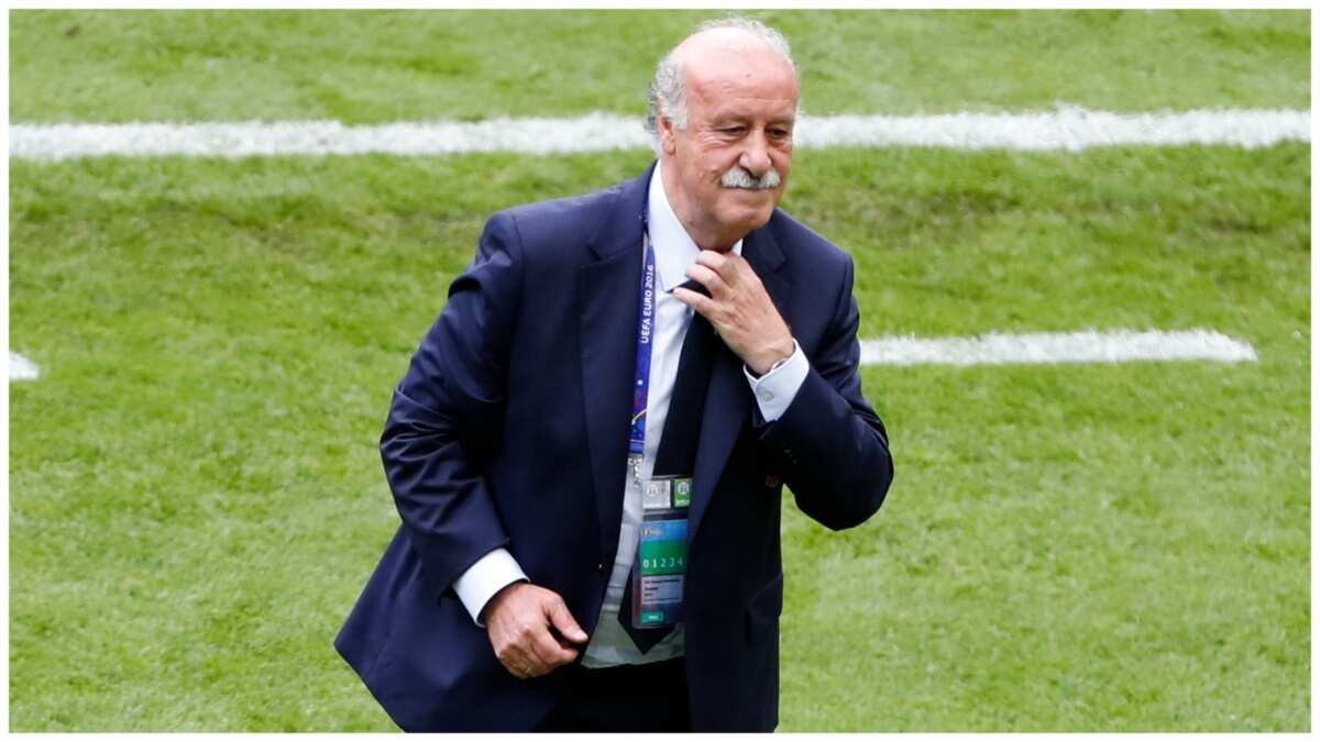 Spain appoints former national coach Vicente del Bosque to supervise soccer federation