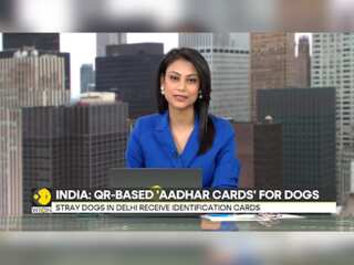 'Aadhaar cards' with QR codes for Indian stray dogs
