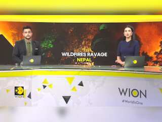 Nepal battles raging wildfires amidst intense heatwave | Wildfire engulfs forest near Kathmandu