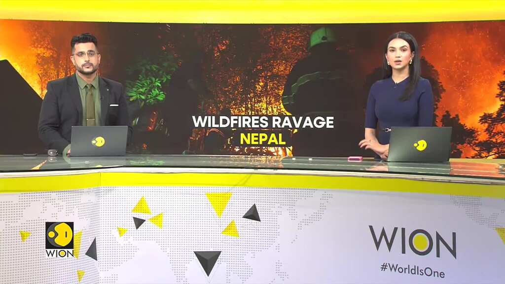 Nepal battles raging wildfires amidst intense heatwave | Wildfire engulfs forest near Kathmandu
