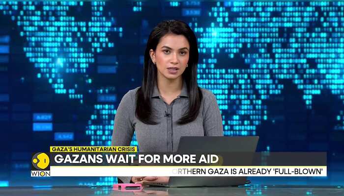 Israel provoking famine in Gaza? | UN official says northern Gaza is now in 'full-blown famine'