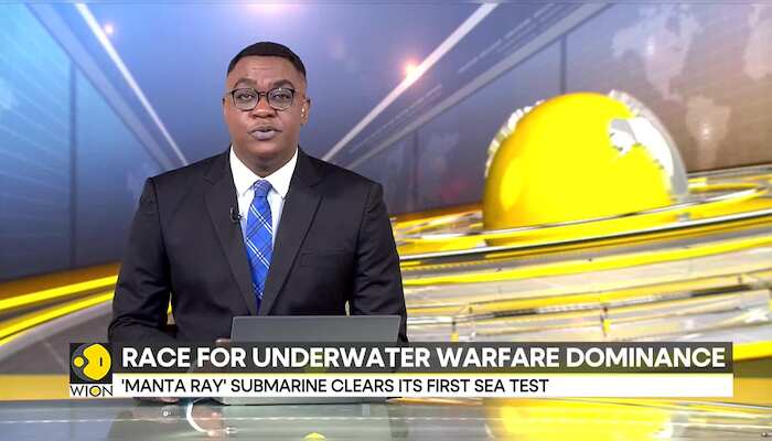 Underwater drones reshape the naval warfare landscape