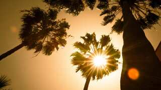 India Weather Updates: Heatwave to persist in THESE states; ECI adjusts polling hours in Telangana due to heat