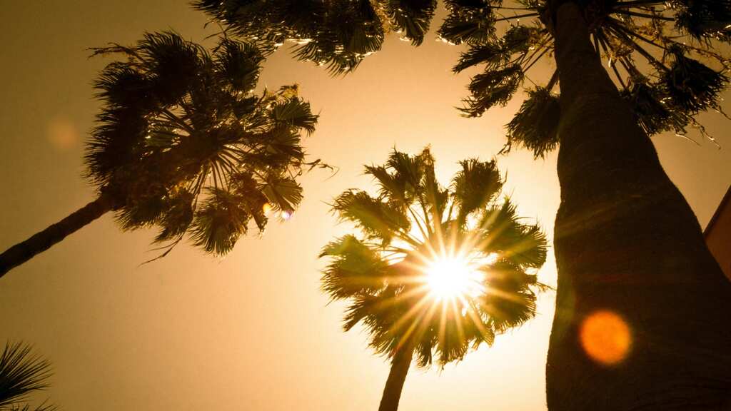 India Weather Updates: Heatwave to persist in THESE states; ECI adjusts polling hours in Telangana due to heat