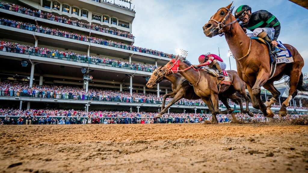 The Preakness 2024: Horses, winning odds and all you need to know