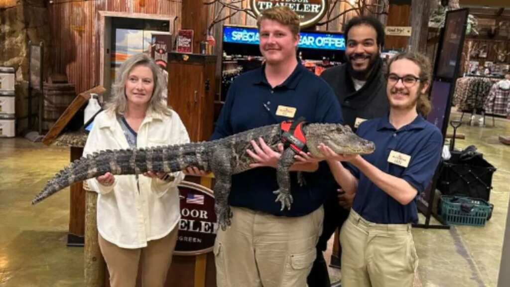 Where’s Wally? Owner speaks out about missing ‘emotional support alligator’