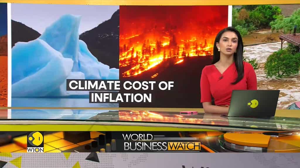 How Climate Change is impacting food bills | World Business Watch