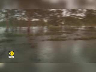 Kenya Floods: Death toll from floods rise to 288, deluge destroys homes, roads & bridges