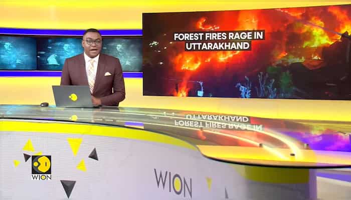 India: Deadly forest fires sweep Uttarakhand, 5 dead