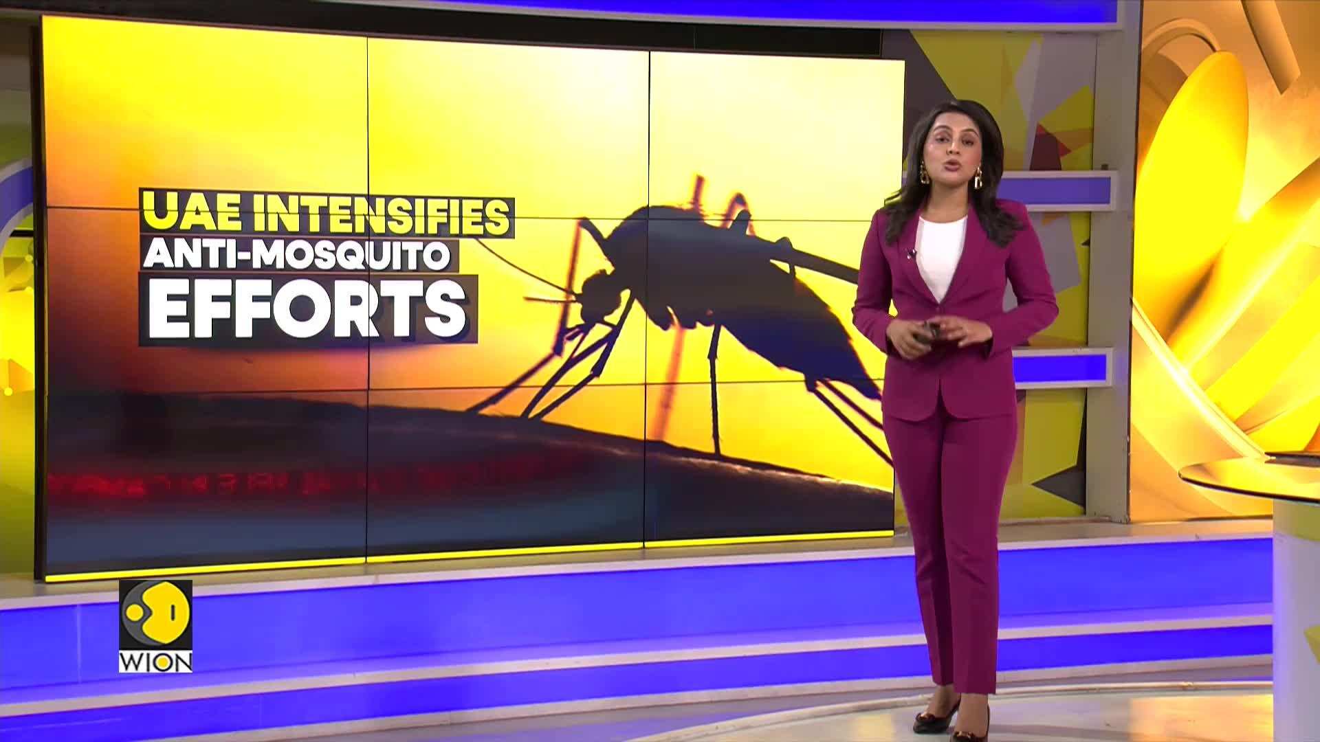 Dubai Rains Authorities step up drive to control spread of mosquitoes