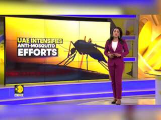 Dubai Rains: Authorities step up drive to control spread of mosquitoes post heavy rains