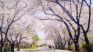 South Korea marks hottest April since 1973, average daily temperatures go 2.5 degrees higher
