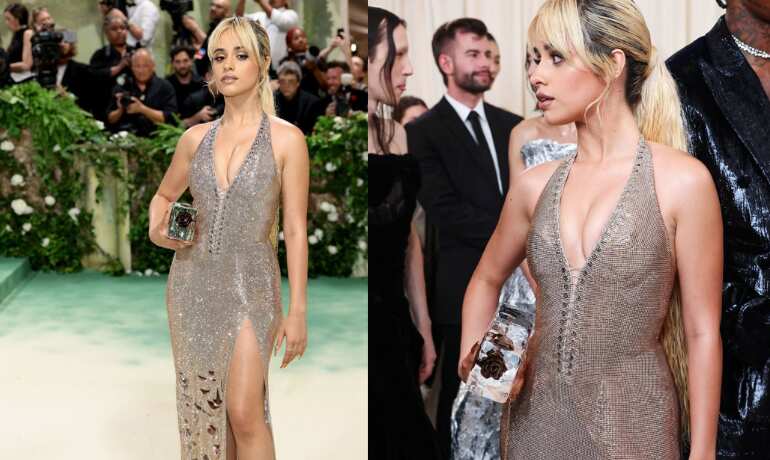 Wait, what? Camila Cabello walks carrying a block of Ice at Met Gala 2024