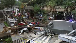 Massive tree collapse kills 47-year-old man on busy road in Malaysia