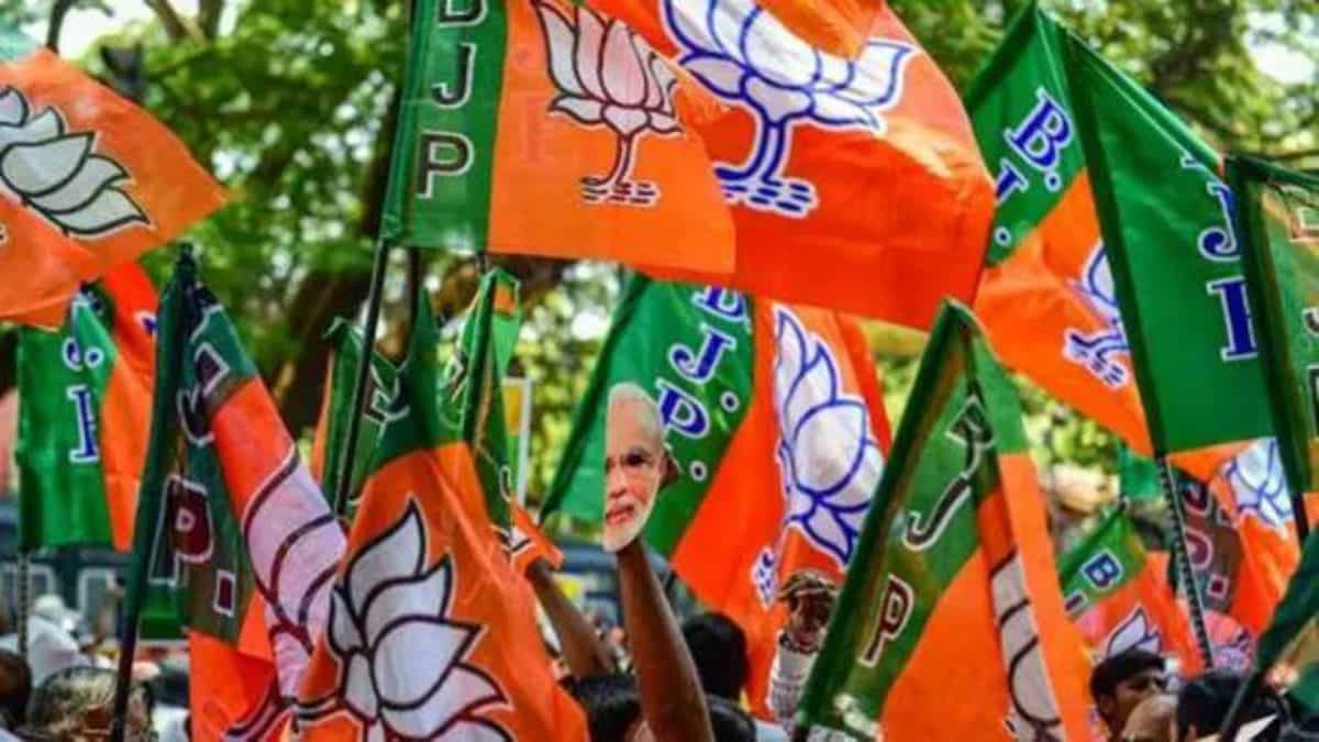 Exit polls 2024: NDA dominates Hindi heartland, sweeps Uttar Pradesh, Madhya Pradesh and Bihar