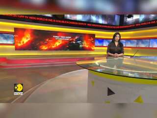India: Supreme court set to hear urgent plea on Uttarakhand forest fires today