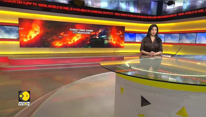 India: Supreme court set to hear urgent plea on Uttarakhand forest fires today