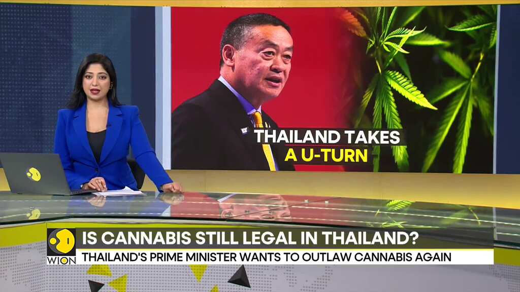 Thailand govt takes a U-turn on cannabis, to criminalise cannabis again
