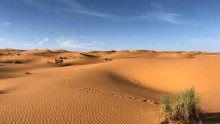 Has Sahara Desert always been barren? A 4,000-year-old rock art holds the answer