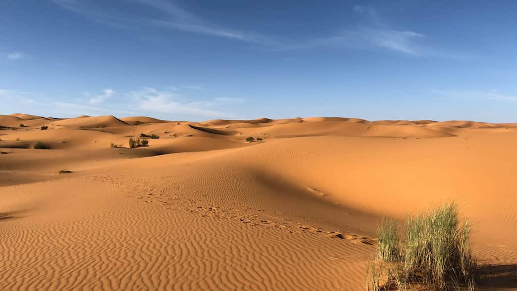 Has Sahara Desert always been barren? A 4,000-year-old rock art holds the answer