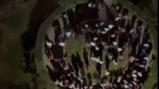 Video: Angry crowd attacks Indian couple who fed stray dogs after after one of them bit girl