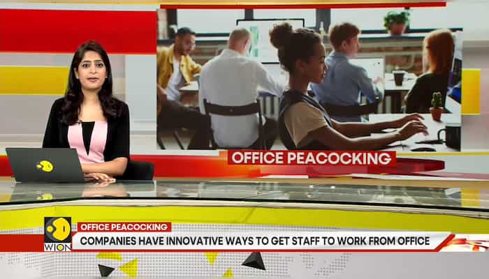 Gravitas | Office Peacocking: How companies are luring workers back to office