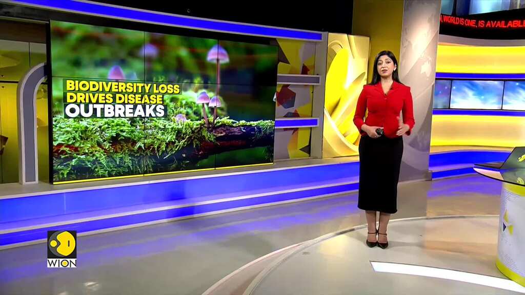 New infectious diseases on the rise