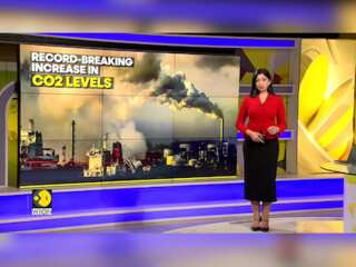 Co2 level spike every passing year, rising heat-trapping gas threat to Earth