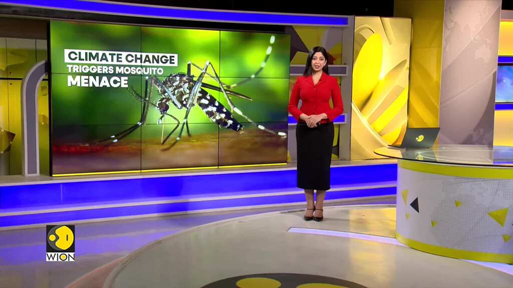 Climate change expands mosquito breeding