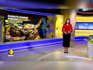 Mass migration of venemous snakes: Study, migration to take place around 2070