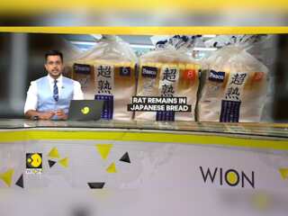 Japan: Rat remains found in Japanese bread, over 100,000 packets of bread recalled