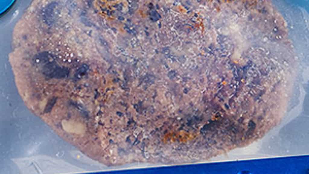 Space cookie still smells fresh after four years. Know how