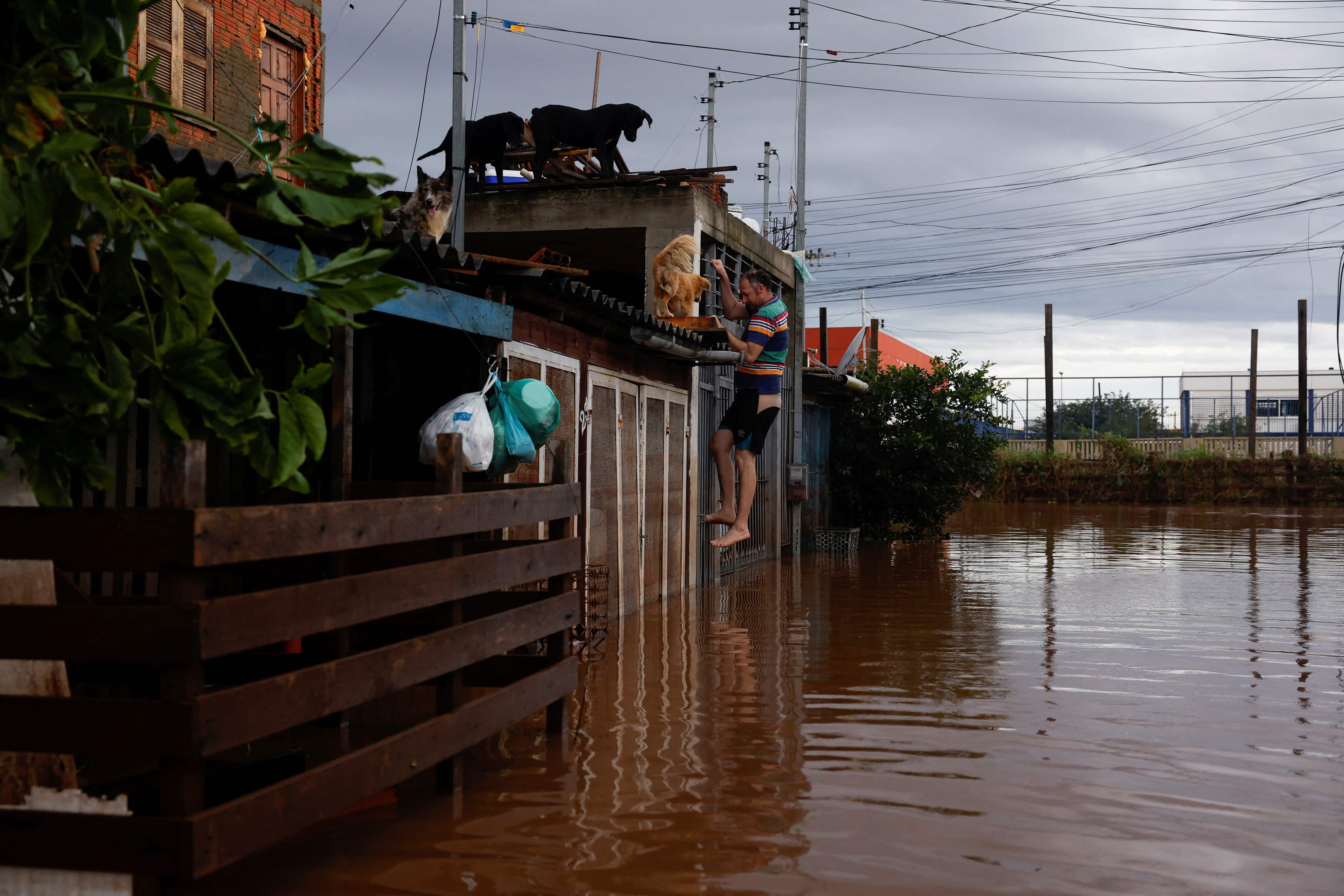 Deaths in Brazil floods rise to 107, horse rescued from rooftop