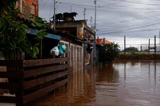 Deaths in Brazil floods rise to 107, horse rescued from rooftop