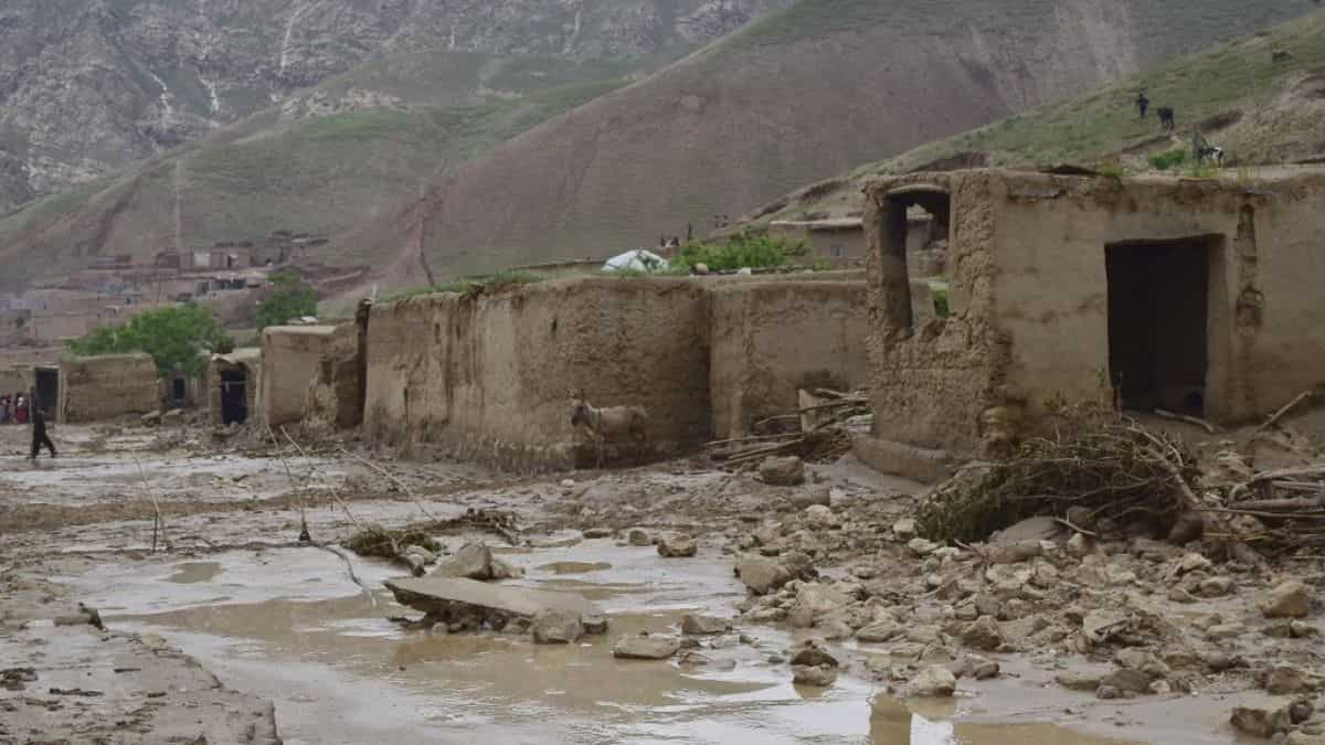 Death toll after catastrophic flash floods in Afghanistan rises to more than 300: UN agency Death toll after catastrophic flash floods in Afghanistan rises to more than 300: UN agency