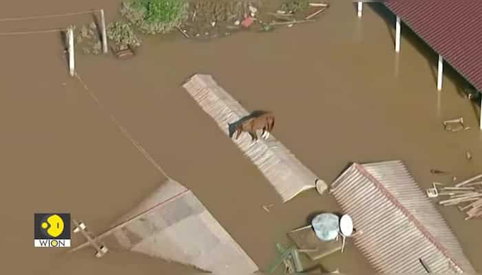 Deadly Floods 2024: Brazil. Texas. Kenya.