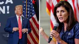 ‘I wish her well’: Donald Trump says not considering Nikki Haley for VP