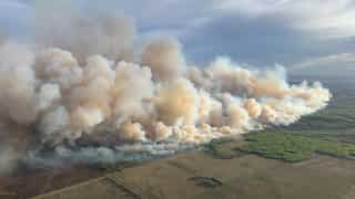 Wildfires in Canada: Widespread blaze in western region forces evacuations