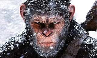 Kingdom of the Planet of the Apes dominates North American box office, earning $56.5 million