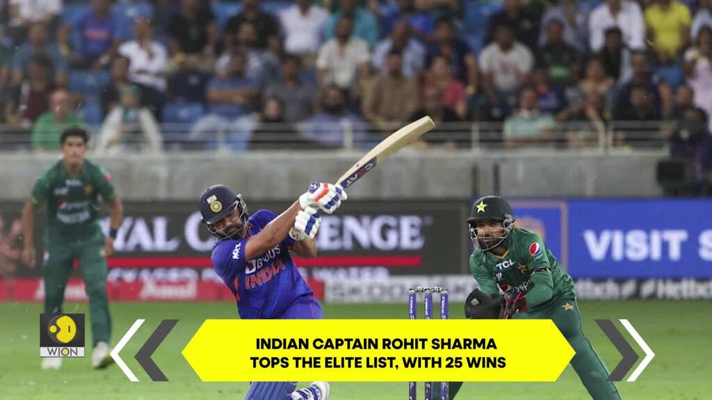 T20 World Cup 2024: Players with most wins in T20 World Cup history