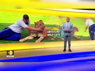 Libya: Man raises predatory animals at home as his pets
